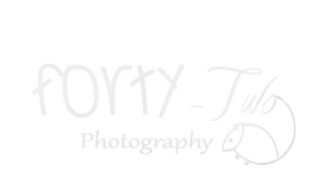 Forty-Two Photography